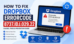 Bug on Dropbox 8737.idj.029.22: Fixes & Prevention